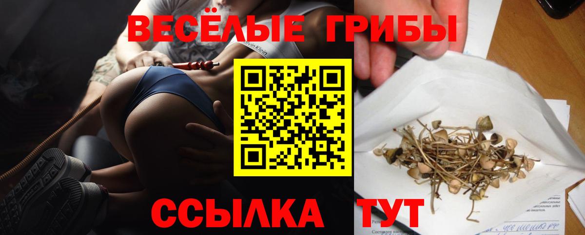 Псилоцибиновые грибы Psilocybine cubensis  Вход с VPN  Галлюциногенные грибы Cubensis  Чехов 